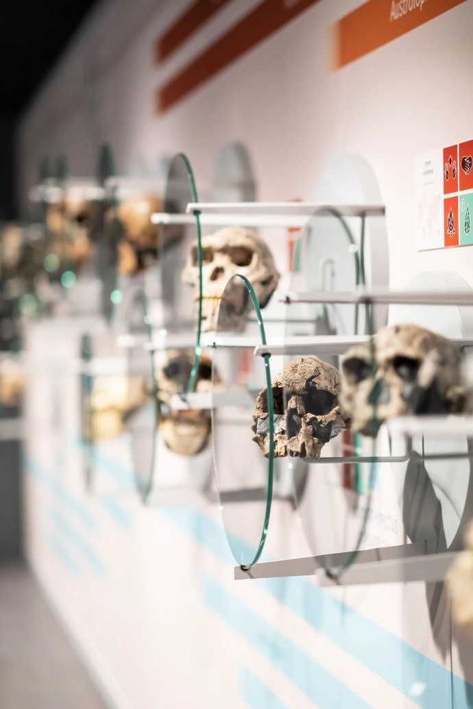 Espace Muséal d'Andenne | EMA