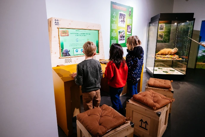 Les As de la Jungle | Espace Muséal d'Andenne (EMA)