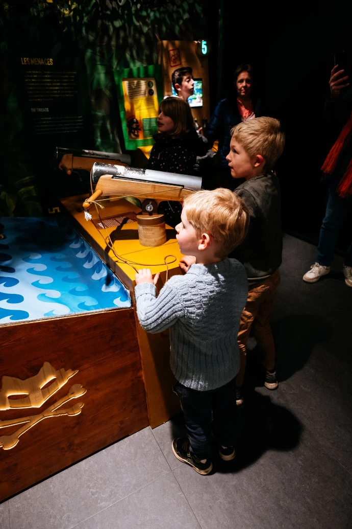 Les As de la Jungle | Espace Muséal d'Andenne (EMA)