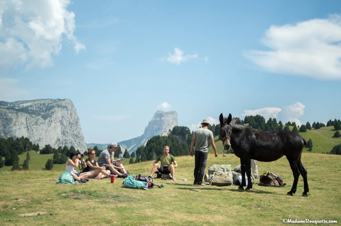 Yummy Planet | Voyage au Vercors