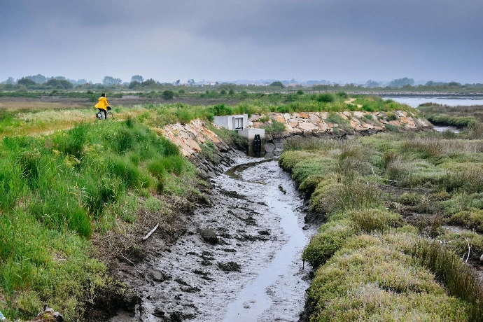Yummy Planet | Voyage au Portugal