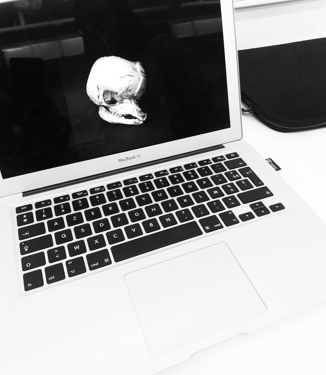 Du poil de Mammouth à l'oeil du Cyclope : 200 bizarreries scientifiques | Embarcadère du Savoir | Université de Liège | Sophie Bernard Photography