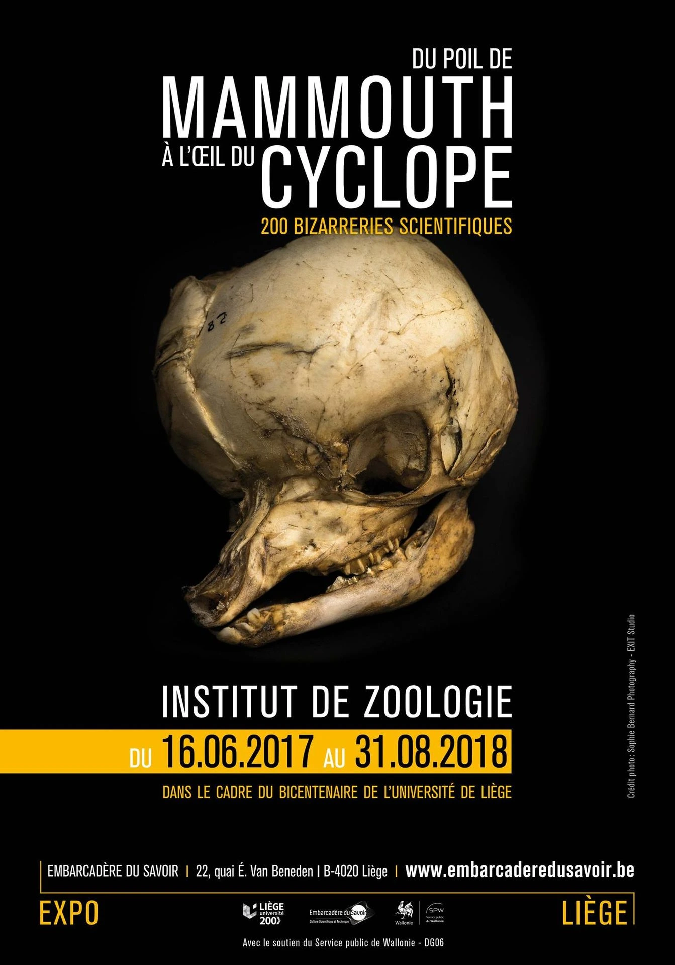 Du poil de Mammouth à l'oeil du Cyclope : 200 bizarreries scientifiques | Embarcadère du Savoir | Université de Liège | Sophie Bernard Photography