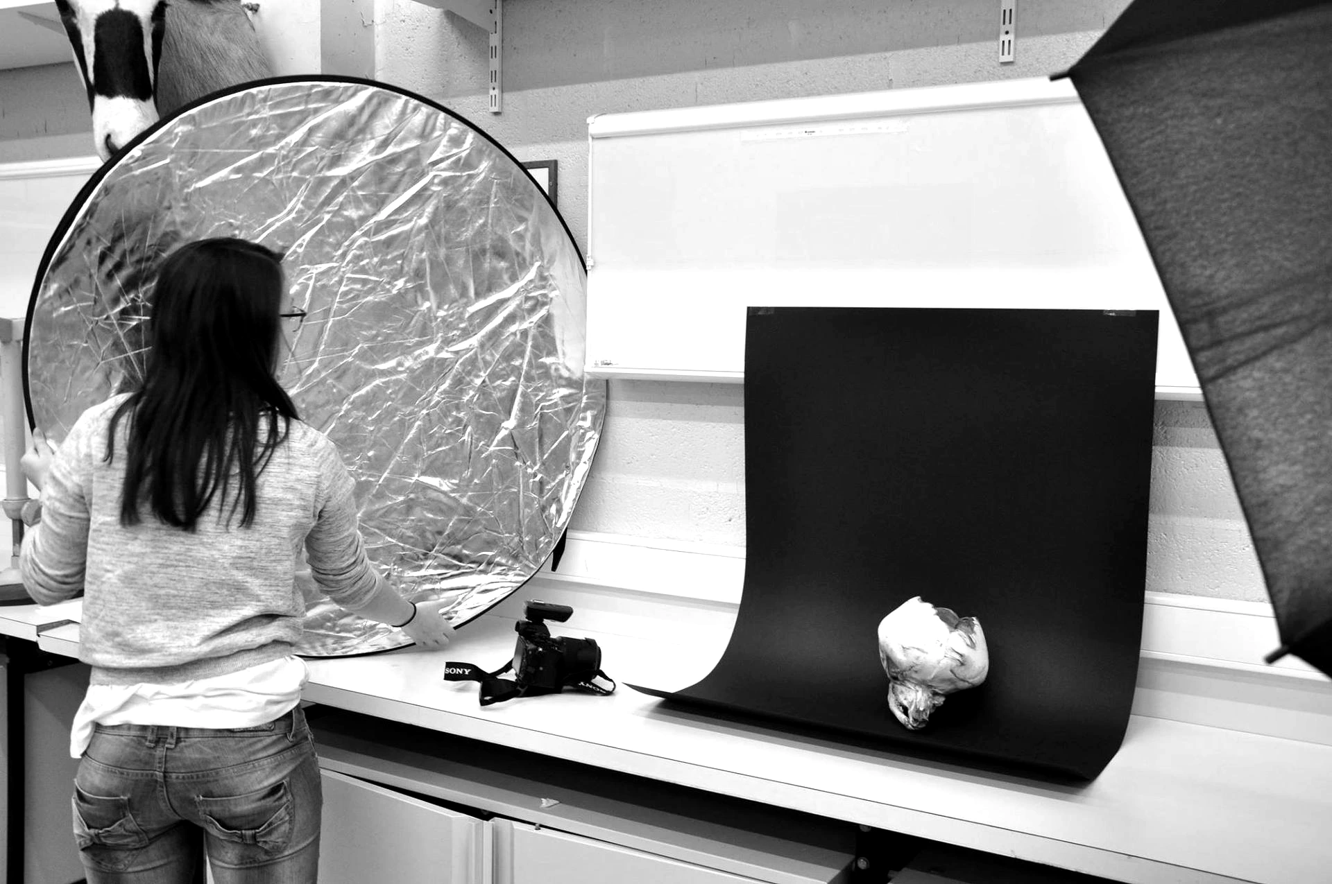 Du poil de Mammouth à l'oeil du Cyclope : 200 bizarreries scientifiques | Embarcadère du Savoir | Université de Liège | Sophie Bernard Photography