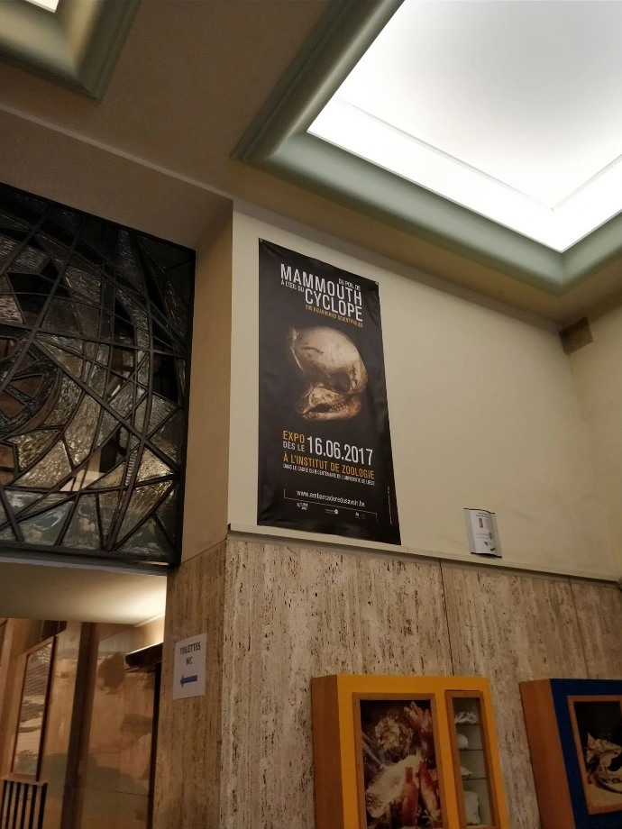 Du poil de Mammouth à l'oeil du Cyclope : 200 bizarreries scientifiques | Embarcadère du Savoir | Université de Liège | Sophie Bernard Photography