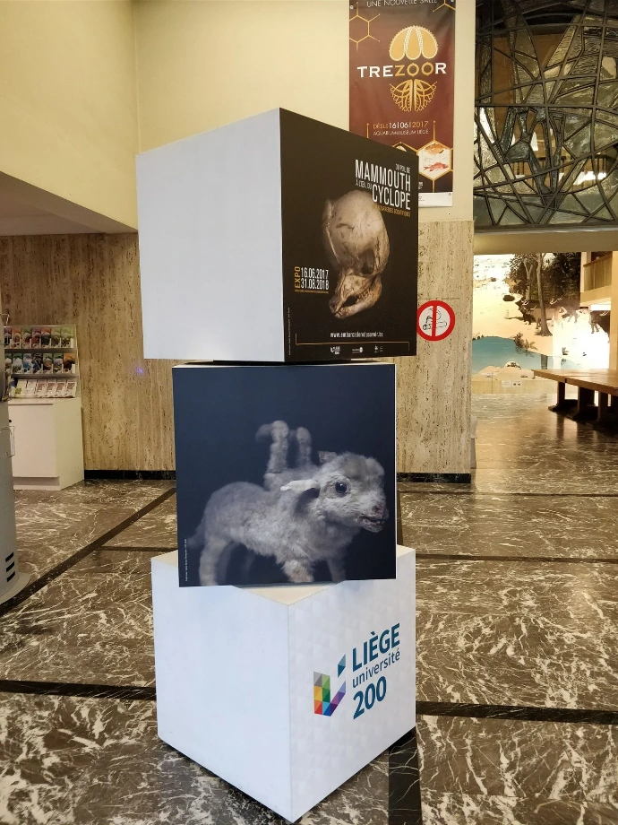 Du poil de Mammouth à l'oeil du Cyclope : 200 bizarreries scientifiques | Embarcadère du Savoir | Université de Liège | Sophie Bernard Photography