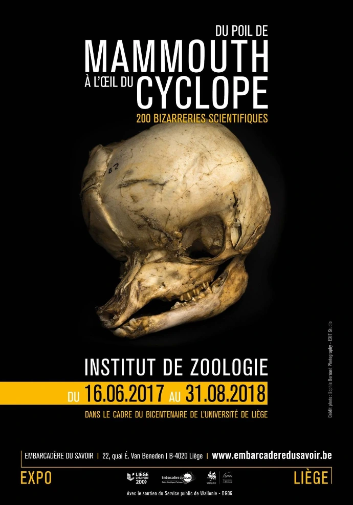 Du poil de Mammouth à l'oeil du Cyclope : 200 bizarreries scientifiques | Embarcadère du Savoir | Université de Liège | Sophie Bernard Photography