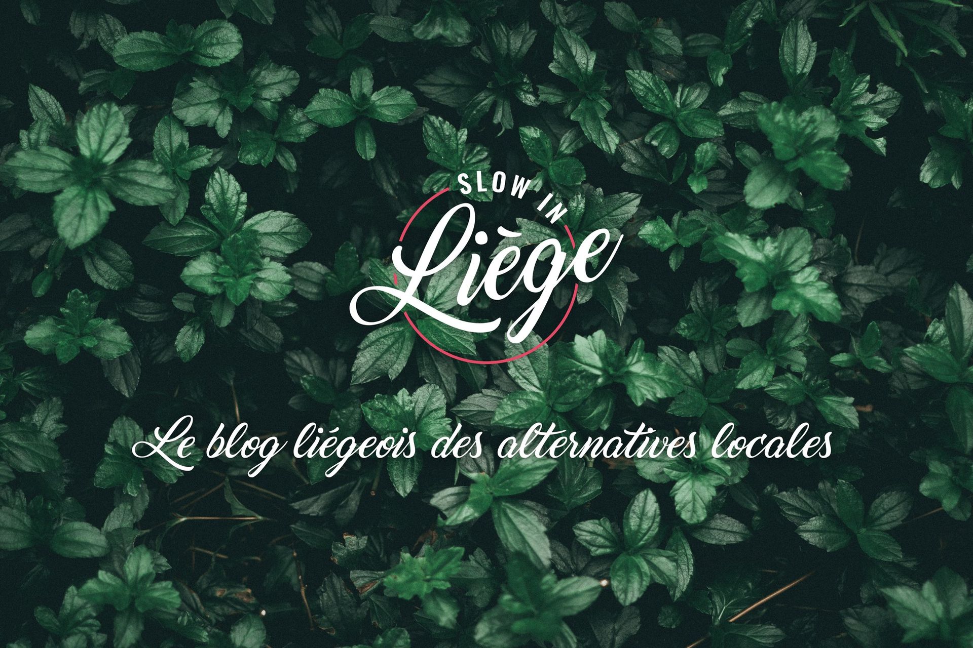 Slow in Liège | Let's write about it !